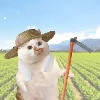 用户4